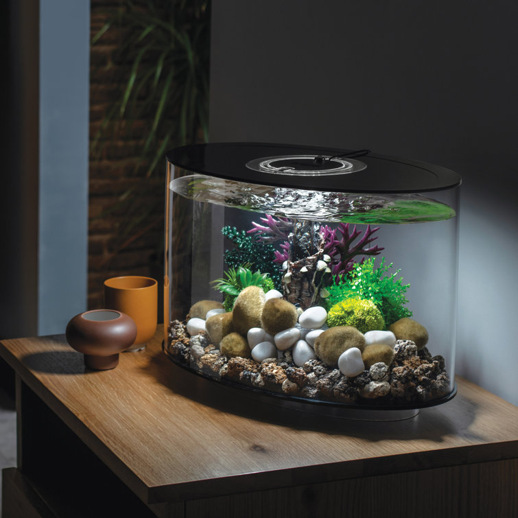 biOrb 4 Gallon Oval Aquarium Tank Wayfair